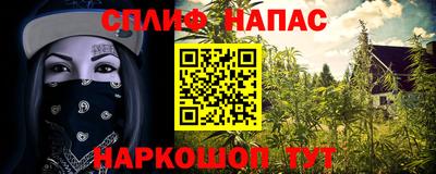 прущие грибы Пушкино