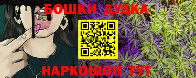 прущие грибы Пушкино
