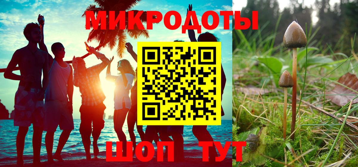 Псилоцибиновые грибы прущие грибы  Вход с VPN  Скопин 