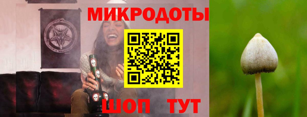 Псилоцибиновые грибы прущие грибы Скопин